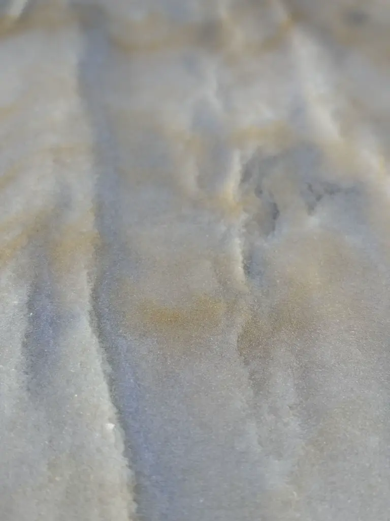 Knoll Limited edition special 80 years of Saarinen Azul steen stone limited edition Loncin designmeubelen Hasselt Leuven Zoutleeuw vlaanderen belgië Nederland France Deutschland England vlaanderen 6.webp