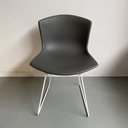Bertoia plastic side chair Knoll