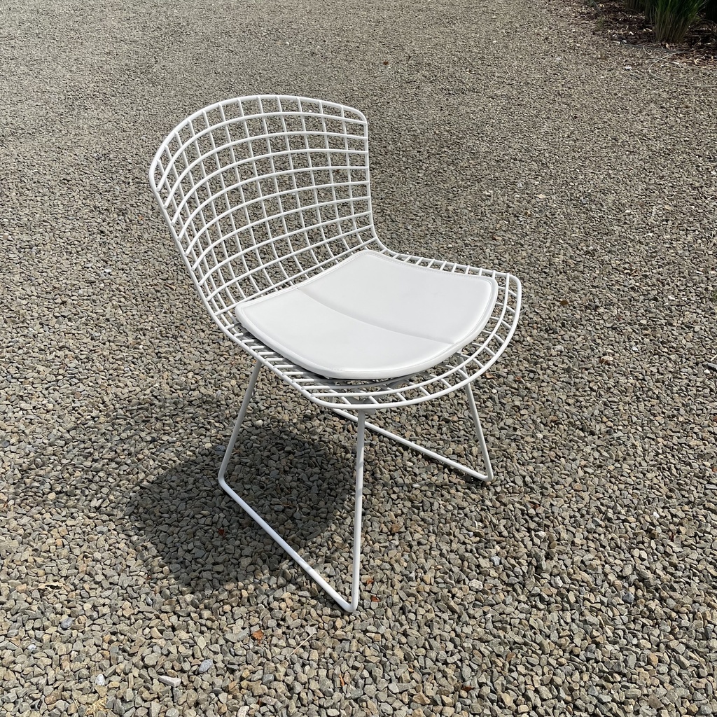 Bertoia side chair - outdoor