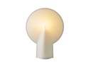 Pion