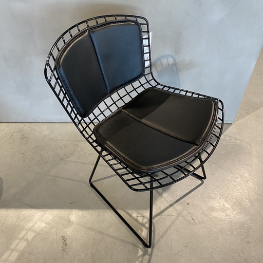 [1058] Bertoia