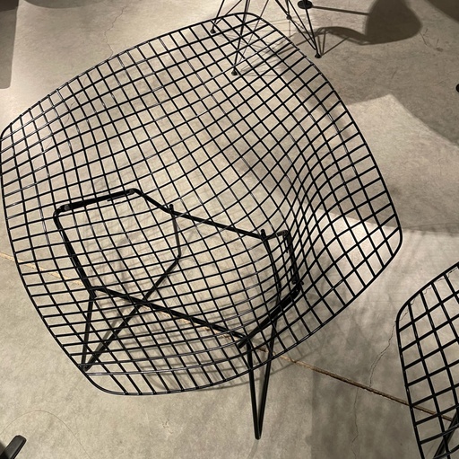 [2862] Harry Bertoia Diamond