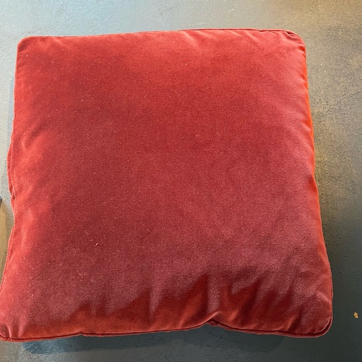 [363] COUSSIN AVEC BANDE