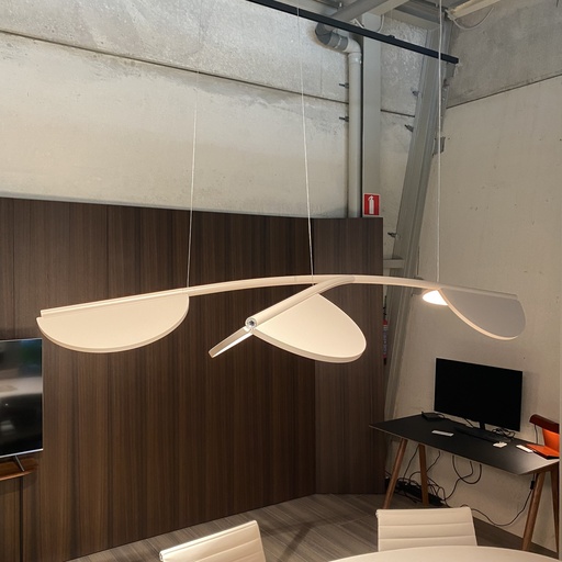 [4331] Almendra S3 Y